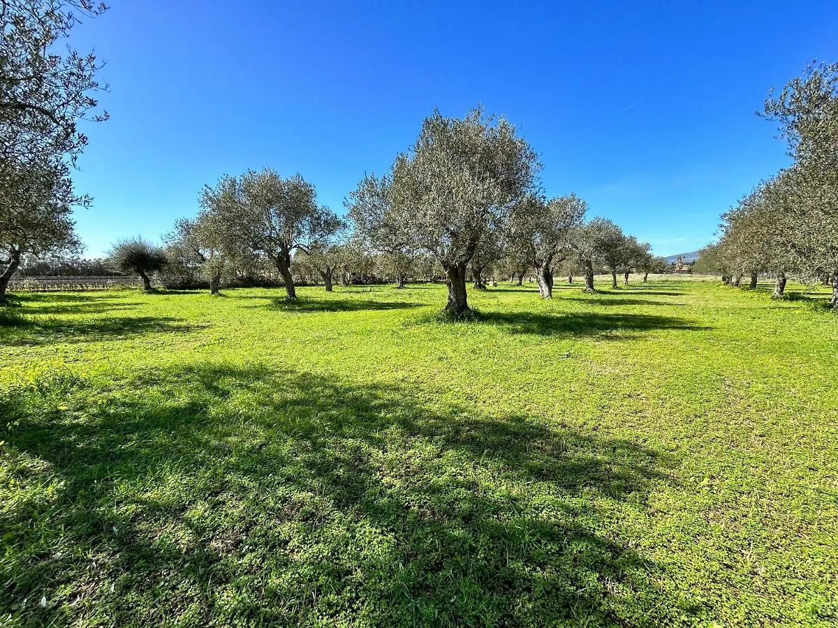 Villa Casa Del Mate Alghero