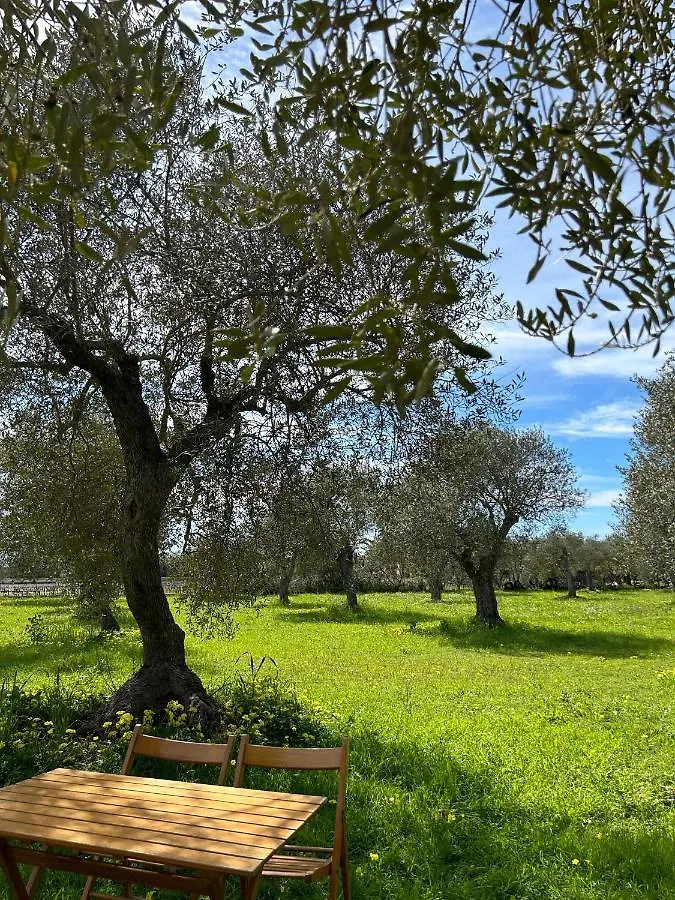 Casa Del Mate Villa Alghero Italy